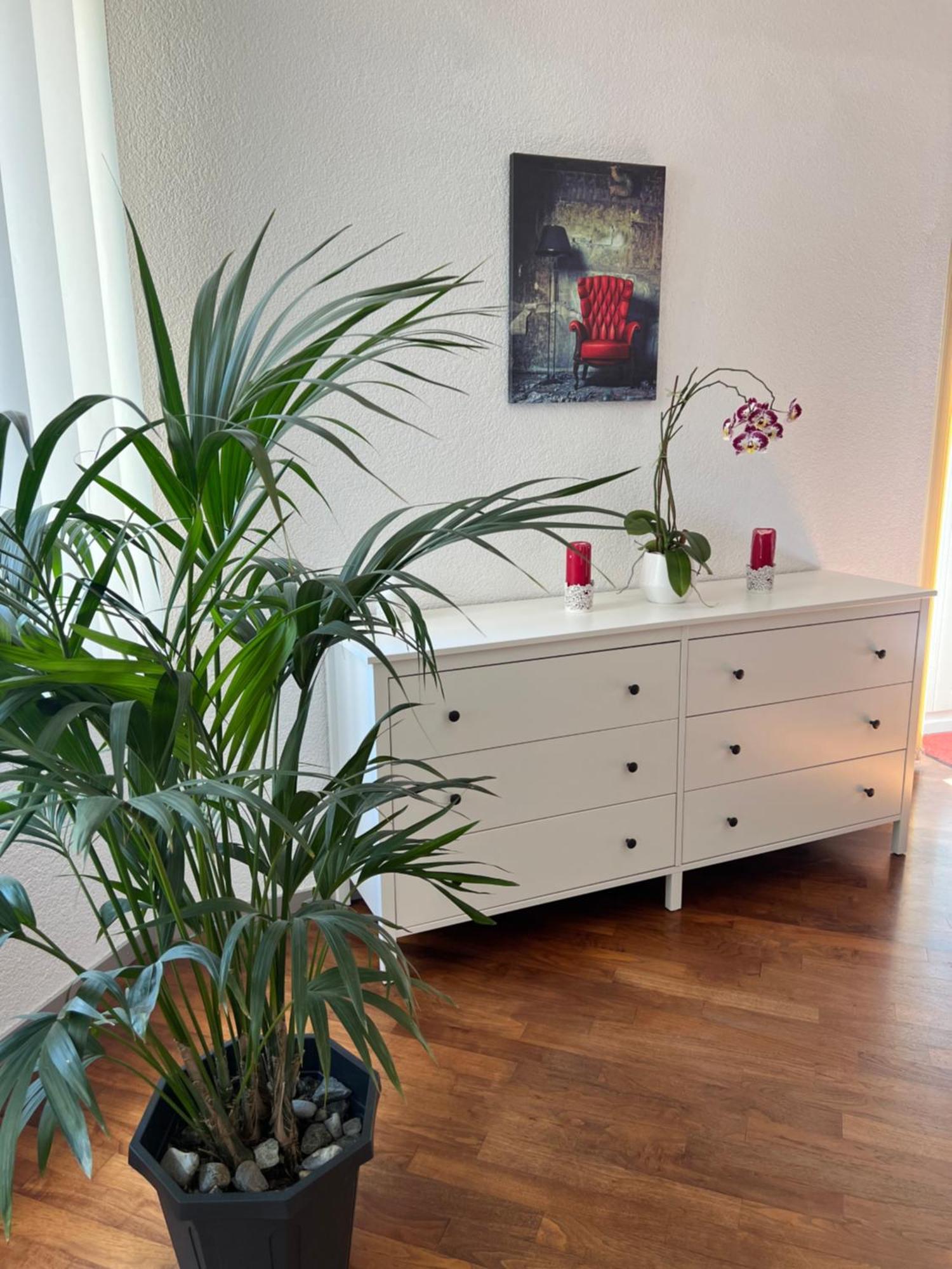 Apartment Peter Interlaken Ngoại thất bức ảnh
