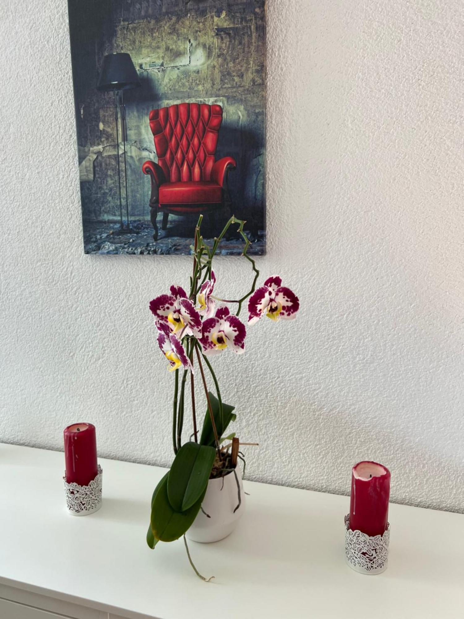 Apartment Peter Interlaken Ngoại thất bức ảnh